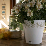 VASO OPERA GAIA 20 BIANCO C/SOTTOVASO