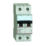 INTERRUTTORE MAGNETOTERMICO 25A BTICINO BIP 2MOD