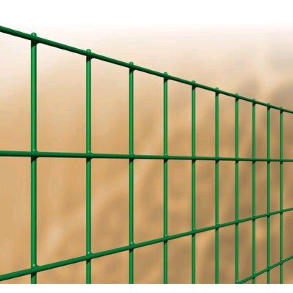 RETE PLASTIFICATA 50X75 H.100 MT. 10