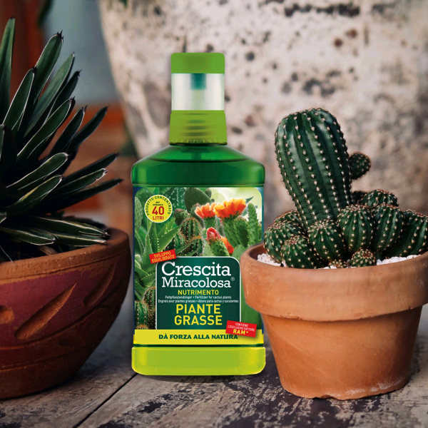 CONCIME LIQUIDO CRESCITA MIRACOLOSA PIANTE GRASSE ML.200