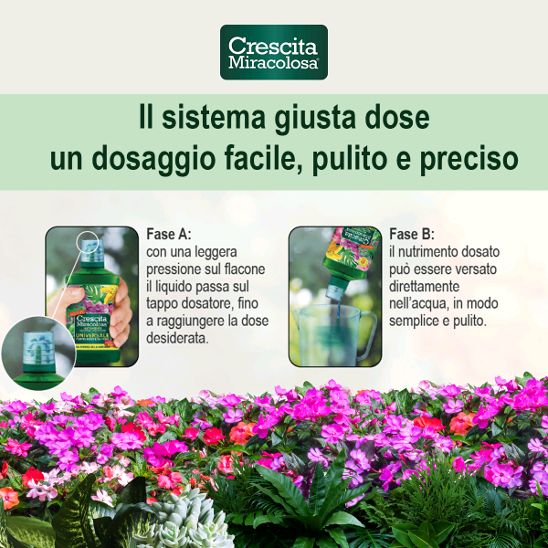 CONCIME LIQUIDO CRESCITA MIRACOLOSA PIANTE GRASSE ML.200