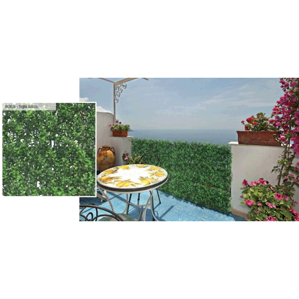 SIEPE SEMPREVERDE BUXSUS 100X100